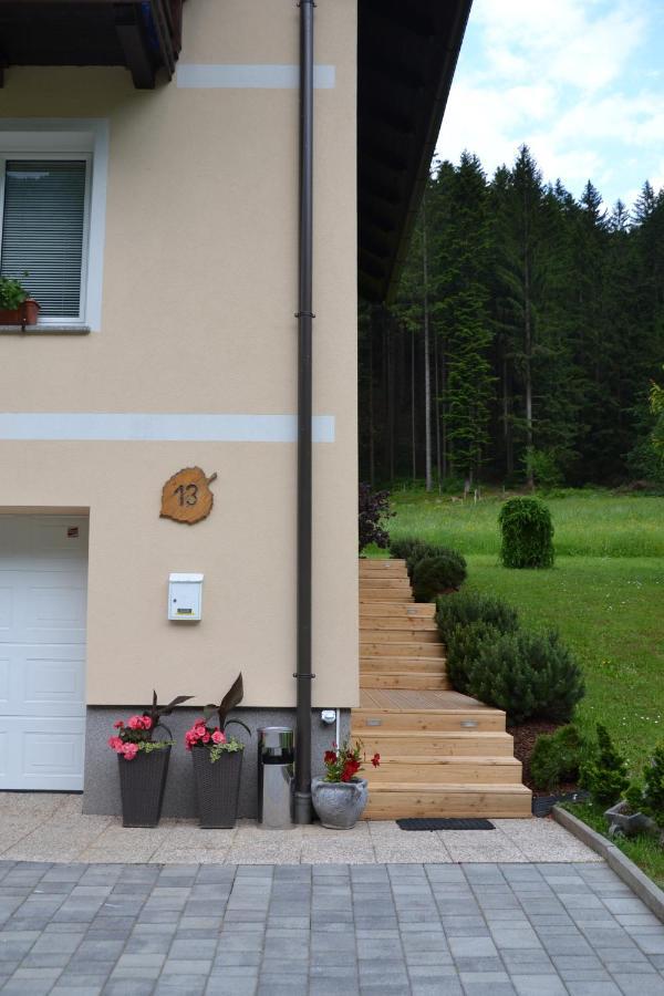 Apartma Ob Potoku Luče エクステリア 写真